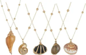 5Pcs Natural Beach Seashell Necklace, Conch Shell Pendant Necklace for Women, Inlaid with Gold-Rimmed Adjustable Seashell Jewelry Gifts, Dainty Shell Necklaces for Women