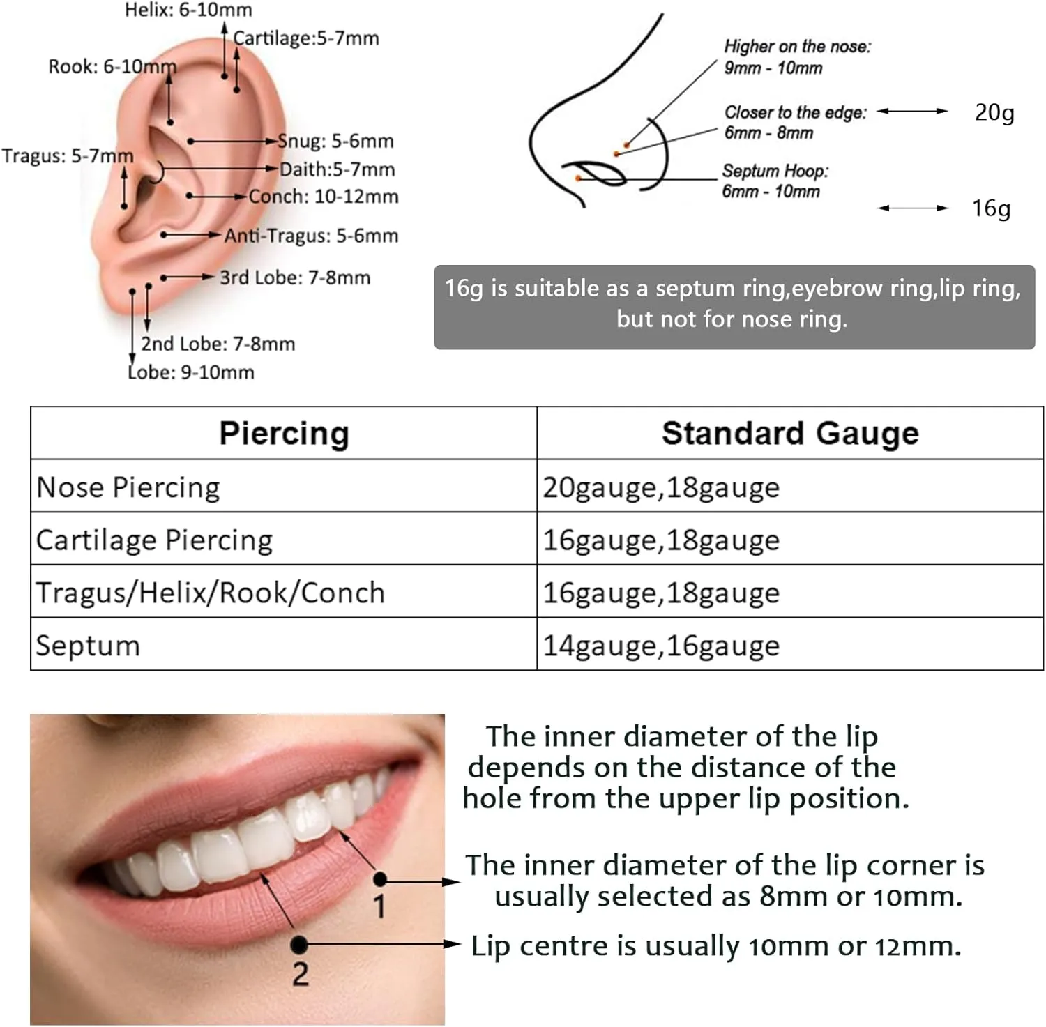 Lantine Hinged 20g 18g 16g Nose Rings Hoops 6mm 8mm 10mm 12mm 14mm 16mm Septum Ring Clicker Cartilage Helix Hoop Earrings Set