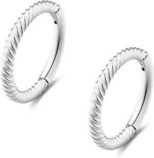 Lantine Hinged 20g 18g 16g Nose Rings Hoops 6mm 8mm 10mm 12mm 14mm 16mm Septum Ring Clicker Cartilage Helix Hoop Earrings Set