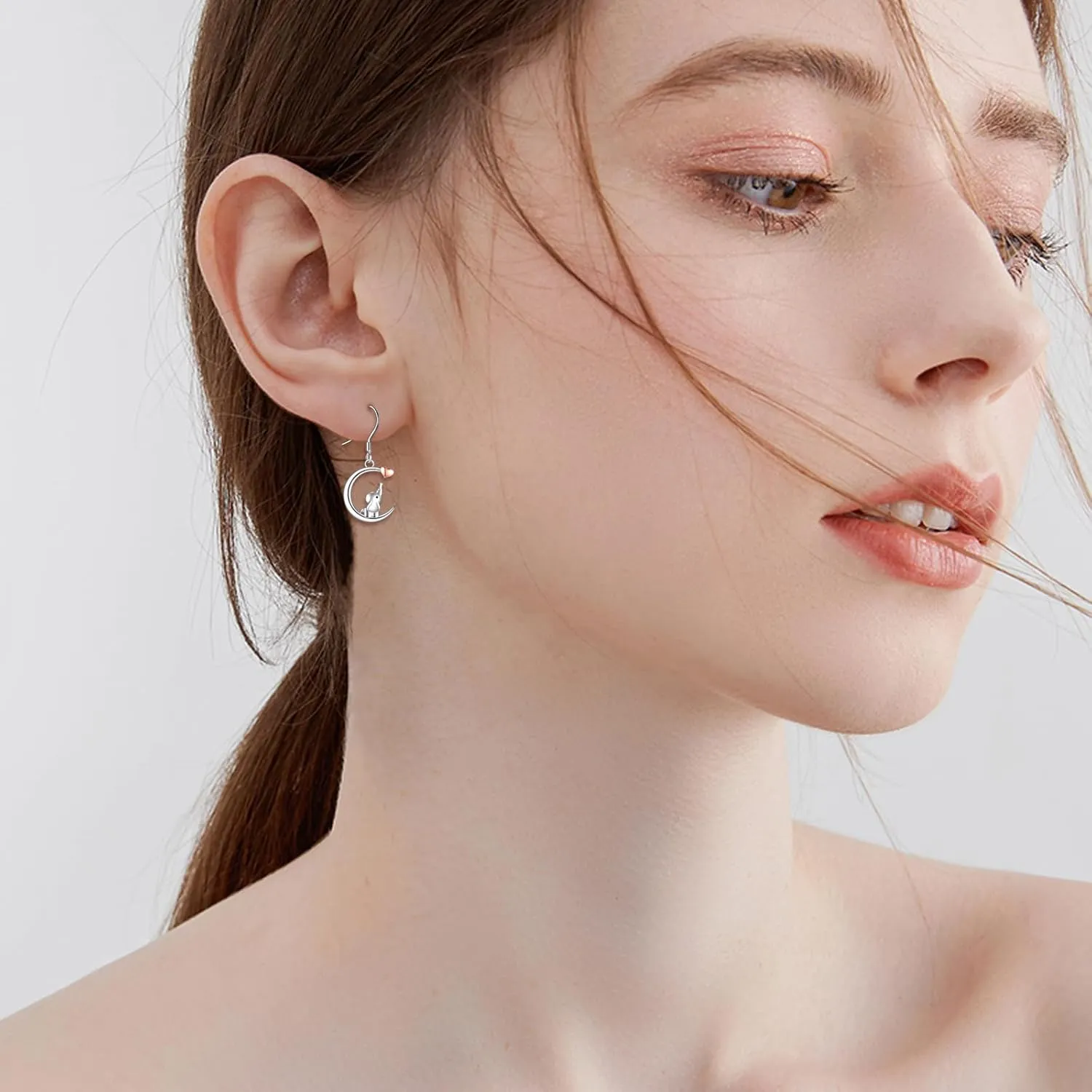 Moon Drop Earrings 925 Sterling Silver Animal Dangle Earrings Elephant/Raccoon/Butterfly/Ghost/Fox/Rabbit/Cat Jewelry for Women Cute Animal Earrings